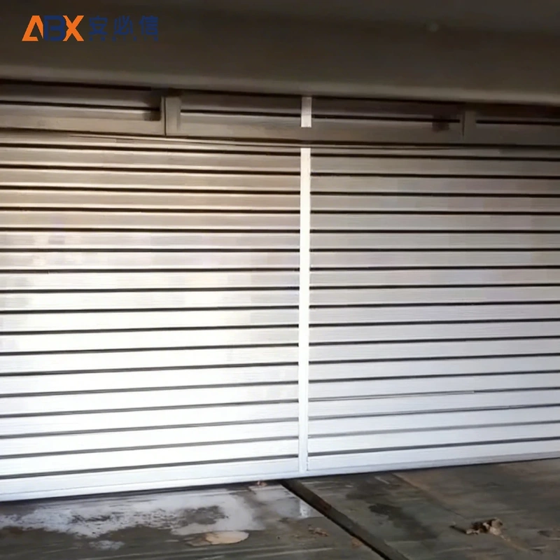 定西市软帘高速门